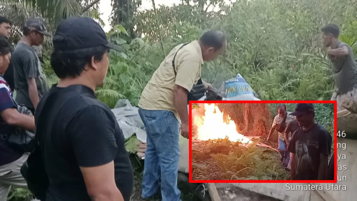Personel Polsek Bosar Maligas melakukan pemusnahan gubuk yang diduga menjadi tempat penyalahgunaan narkoba di Nagori Boluk.