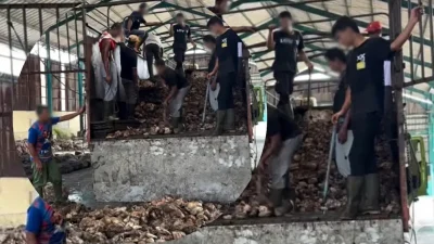 PT Prima Indo Rubber Perdagangan Simalungun