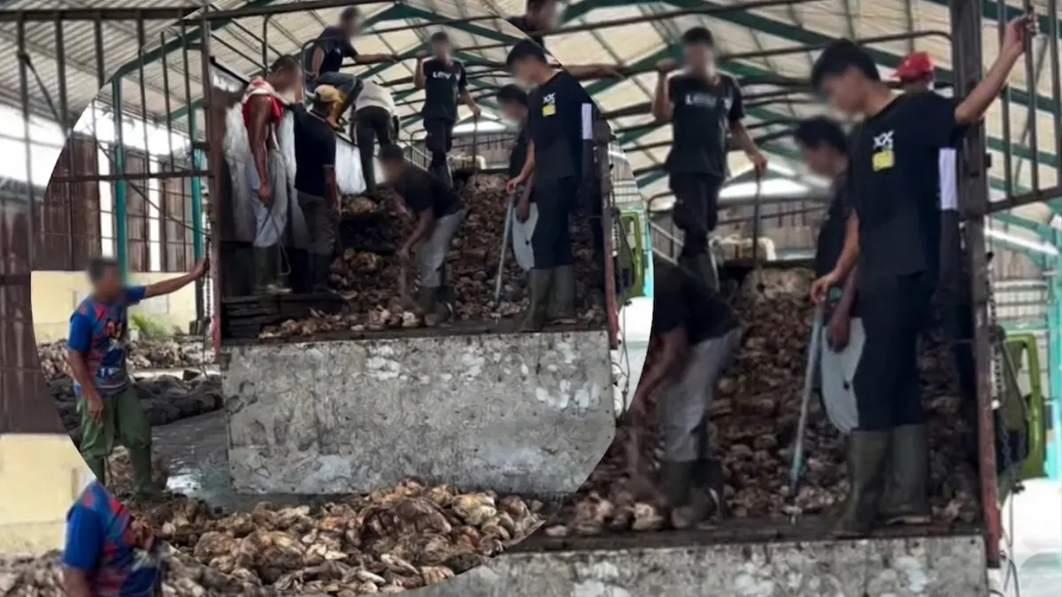 PT Prima Indo Rubber Perdagangan Simalungun