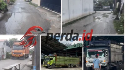 Aktivitas Truk PT Prima Indo Rubber Diduga Jadi Penyebab Rusaknya Jalan Amal Perdagangan