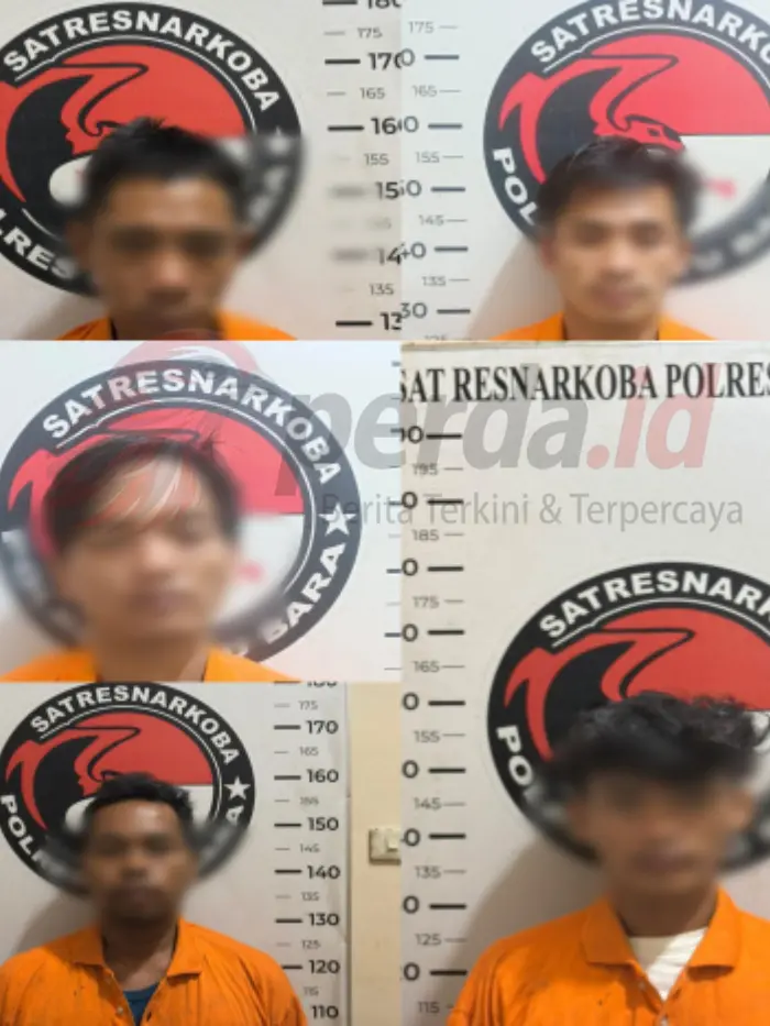 7 TO Nark0ba di Batubara Diciduk Polisi, S4bu dan Timbangan Digital Disita