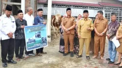 Bupati Simalungun Anton Achmad Saragih menyerahkan sapi kurban seberat 831 kg bantuan Presiden Prabowo Subianto kepada BKM Al-Aksho di Gunung Malela.
