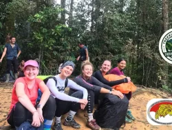 Trekking Sumatra Expedition Tawarkan Pengalaman Menjelajahi Habitat Orangutan dan Keindahan Alam Sumatera Utara