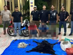 Polres Simalungun Gagalkan Perdagangan Satwa Dilindungi, 30 Kg Sisik Trenggiling dan Bagian Tubuh Satwa Langka Disita