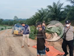 Sempat Dikabarkan Hilang, Polsek Gunung Malela Temukan Nenek Hermin Lasih Silalahi dalam Kondisi Membusuk