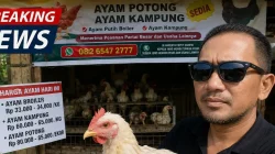 Ilustrasi kenaikan harga sembako, ayam, dan daging di pasar tradisional.