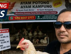 Harga Sembako, Ayam dan Daging Tinggi, Pemerhati: Pemerintah Jangan Hanya Bicara Inflasi, Lihat Realita di Pasar