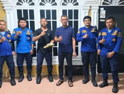 BPBD SIMALUNGUN GERAK CEPAT TANGANI SARANG TAWON DI RUMAH WARGA